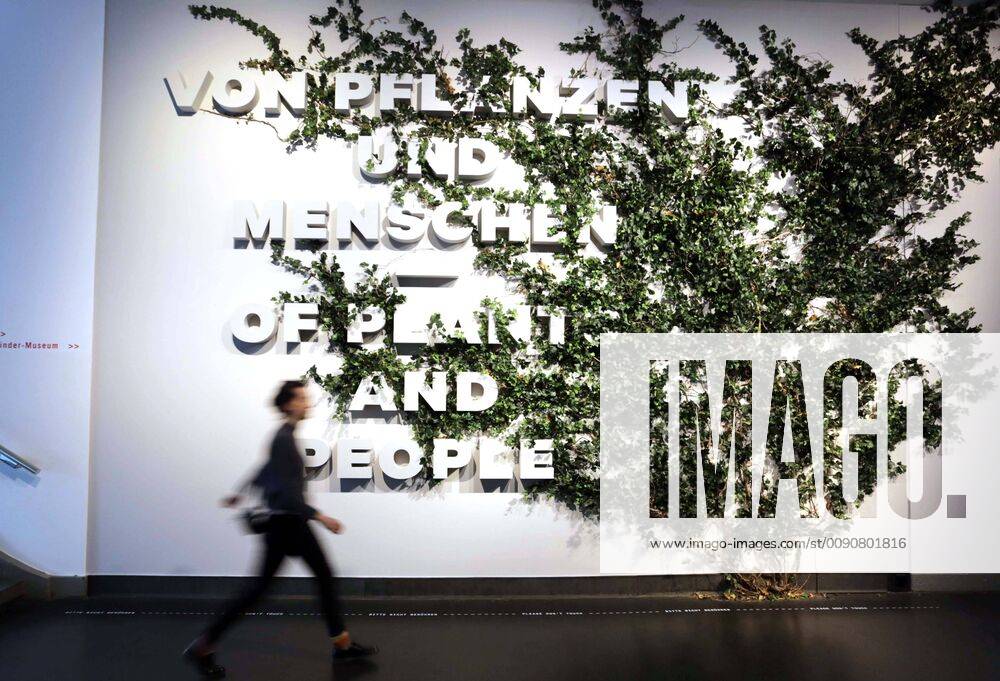 Zu einem Streifzug ueber den gruenen Planeten laedt das Deutsche Hygiene-Museum Dresden von Freitag (19.04.2019) an ein (Foto vom 18.04.2019). Die neue Ausstellung widme sich dem zwiespaeltigen Verhaeltnis des Menschen zur Welt der Pflanzen, teilte das Museum am Donnerstag mit. Erstmals in der europaeischen Museumslandschaft werde eine umfassende und interdisziplinaere Annaeherung an die wichtigsten Mit-Lebewesen unternommen. (Siehe epd-Bericht vom 18.04.2019) Dresdner Ausstellung Streifzug ueber den gruenen Planeten
