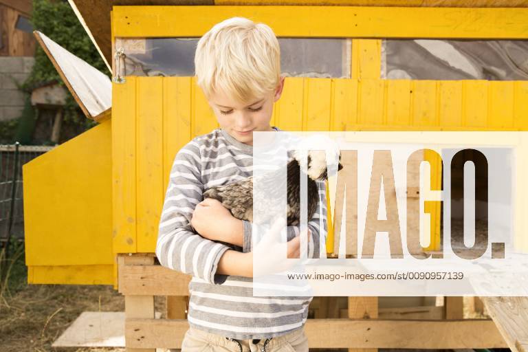 Boy holding Polish chicken at chickenhouse in garden model released Symbolfoto property released MFRF01236