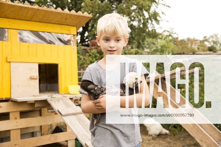 Boy holding Polish chicken at chickenhouse in garden model released Symbolfoto property released MFRF01259