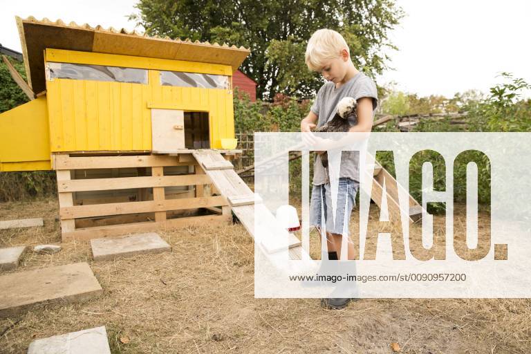 Boy holding Polish chicken at chickenhouse in garden model released Symbolfoto property released MFRF01260