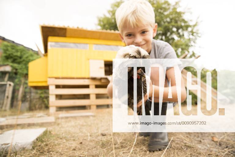 Boy holding Polish chicken at chickenhouse in garden model released Symbolfoto property released MFRF01262