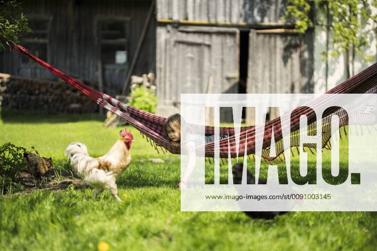 Girl relaxing in hammock in garden of a farm with chicken in foreground model released Symbolfoto property released SBOF01699