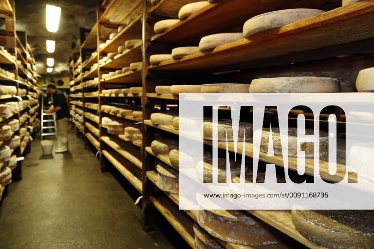 Artisanal Beaufort cheese in a traditional cellar, Rognaix, Savoie, France, Europe