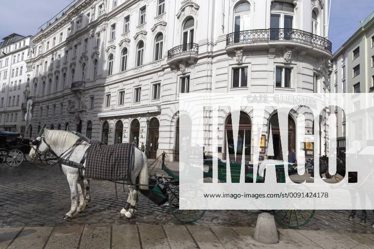 Cafe Klimt im ehemaligen Cafe Griensteidl am Michaelerplatz in Wien