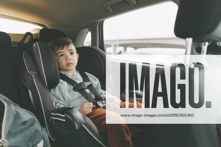 Little boy sitting in car on child s seat with fastened seat belt model released Symbolfoto CMSF00001