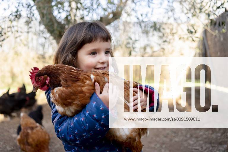 Portrait of smiling toddler girl holding chicken model released Symbolfoto GEMF02905