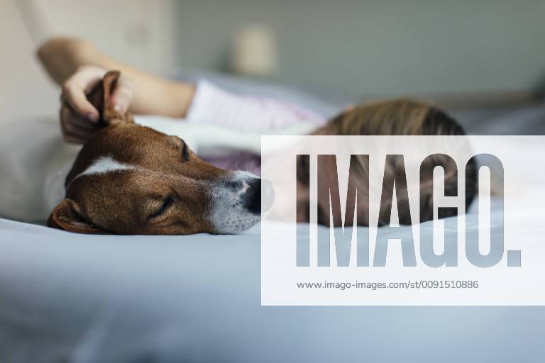 Girl lying on bed tickling her dog model released Symbolfoto property released JPF00376