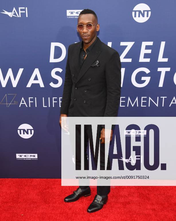 Hollywood, California, USA - Mahershala Ali attends American Film Institute s 47th Life Achievement Award Gala honoring Denzel Washington at Hollywood and Highland in Hollywood, California. Hollywood USA - ZUMAb173 20190606_zap_b173_077