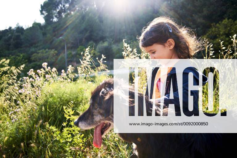 Happy toddler girl walking with dog in nature model released Symbolfoto property released GEMF02967