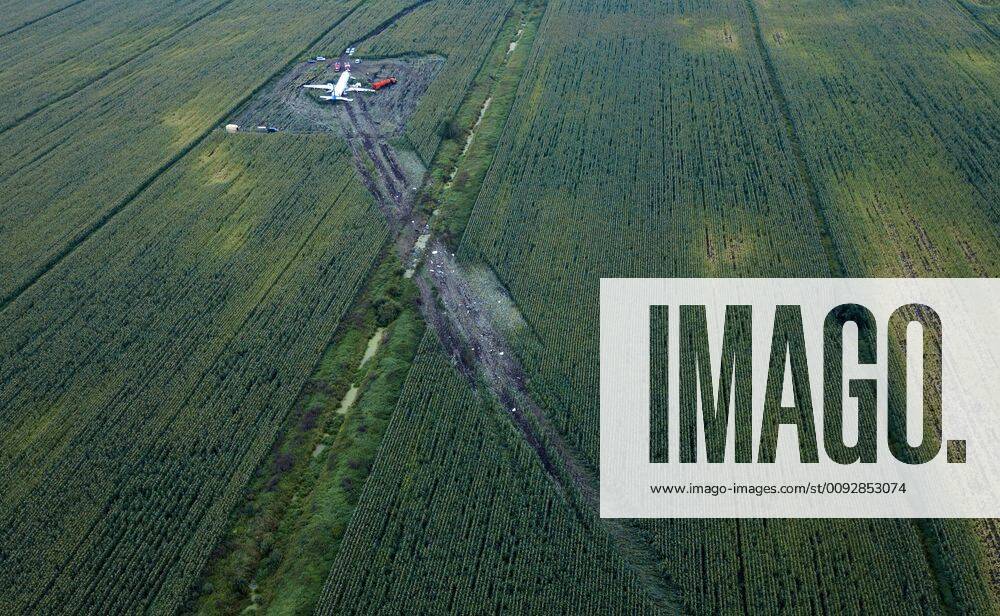 An aerial view of the Ural Airlines Airbus A321 plane in a cornfield near Zhukovsky International Airport. The aircraft bound for Simferopol made an emergency landing due to an engine fire on August 15, 2019. Dmitry Golubovich TASS TS0B6B71