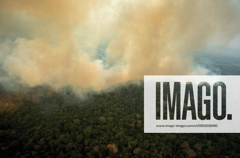 Aerial view of the smoke that covers the Amazon forest during the fire in Porto Velho, Rondonia, Brazil, 23 August 2019. The smoke of the fire covered the area causing poor visibility and affecting air traffic. The smoke covers Amazon !ACHTUNG: NUR REDAKTIONELLE NUTZUNG!