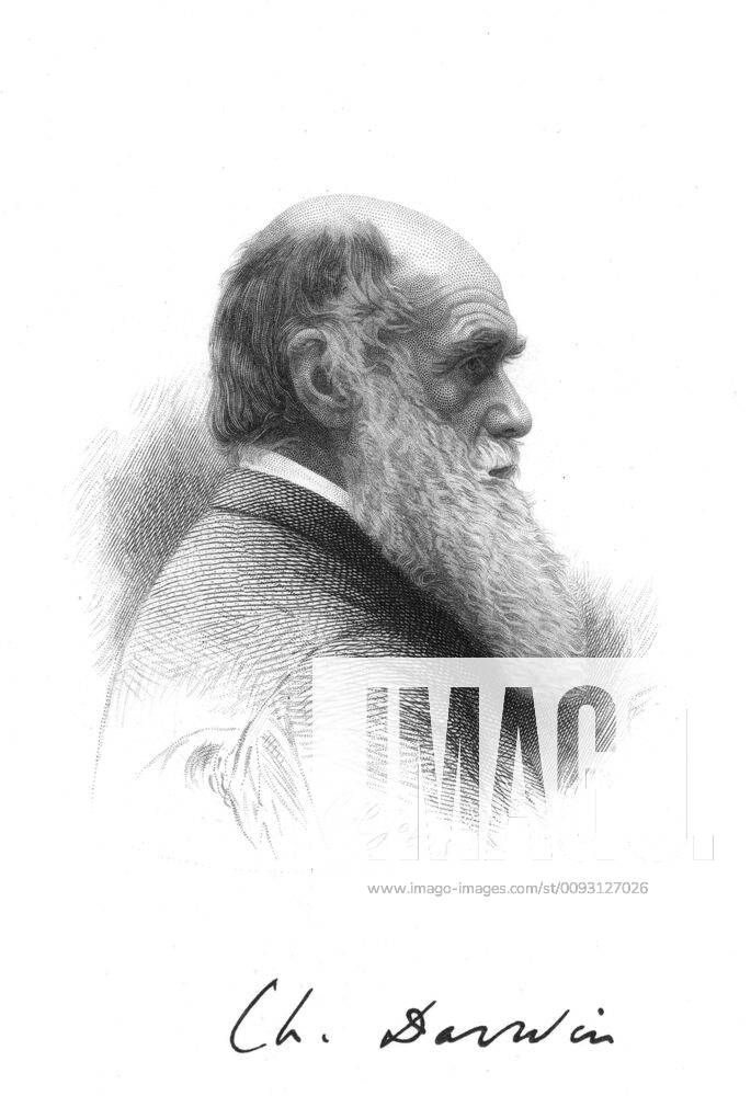 Charles Darwin (1809-1882) English naturalist. A pioneer of theory of Evolution by Natural Selection. Engraving and signature Photos12.com - Ann Ronan Picture Library