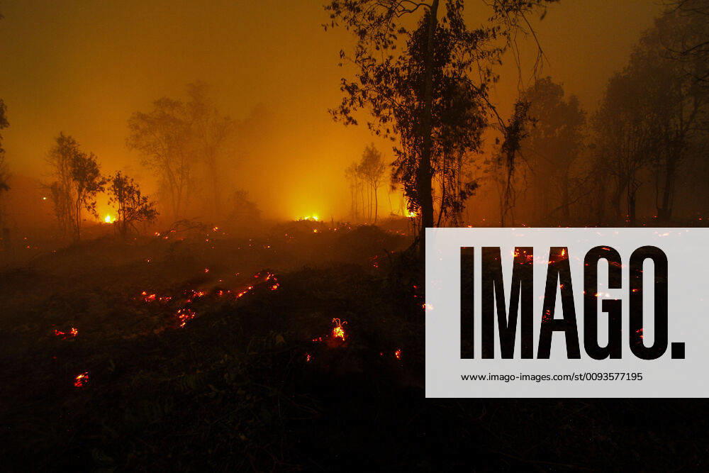 (190922) -- RIAU, Sept. 22, 2019 -- Photo taken on Sept. 22, 2019 shows a forest fire in Kampar, Riau province, Indonesia. (Photo by Xinhua) INDONESIA-RIAU-FOREST FIRE HadlyxVavaldi