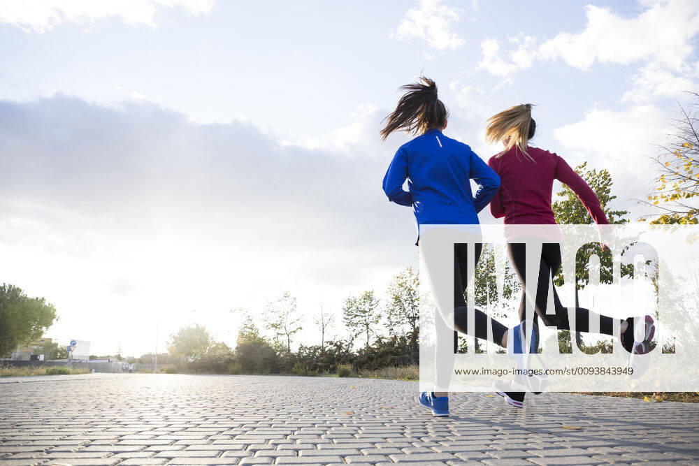 Rear view of women running together in a park, against morning sun model released Symbolfoto ABZF02541
