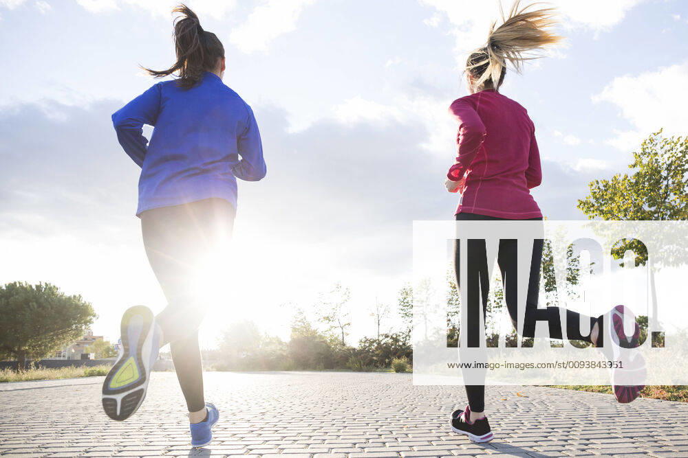 Rear view of women running together in a park, against morning sun model released Symbolfoto ABZF02543