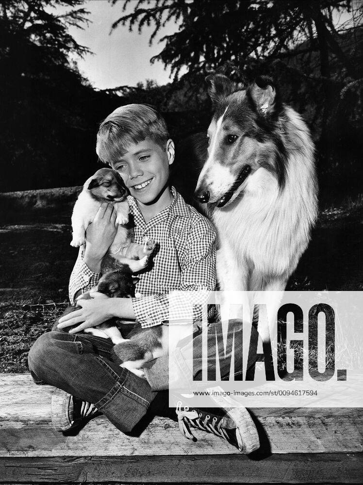 Jon Provost & Dog Film: Lassie (1954) Director: Bonita Granville 12 September 1954