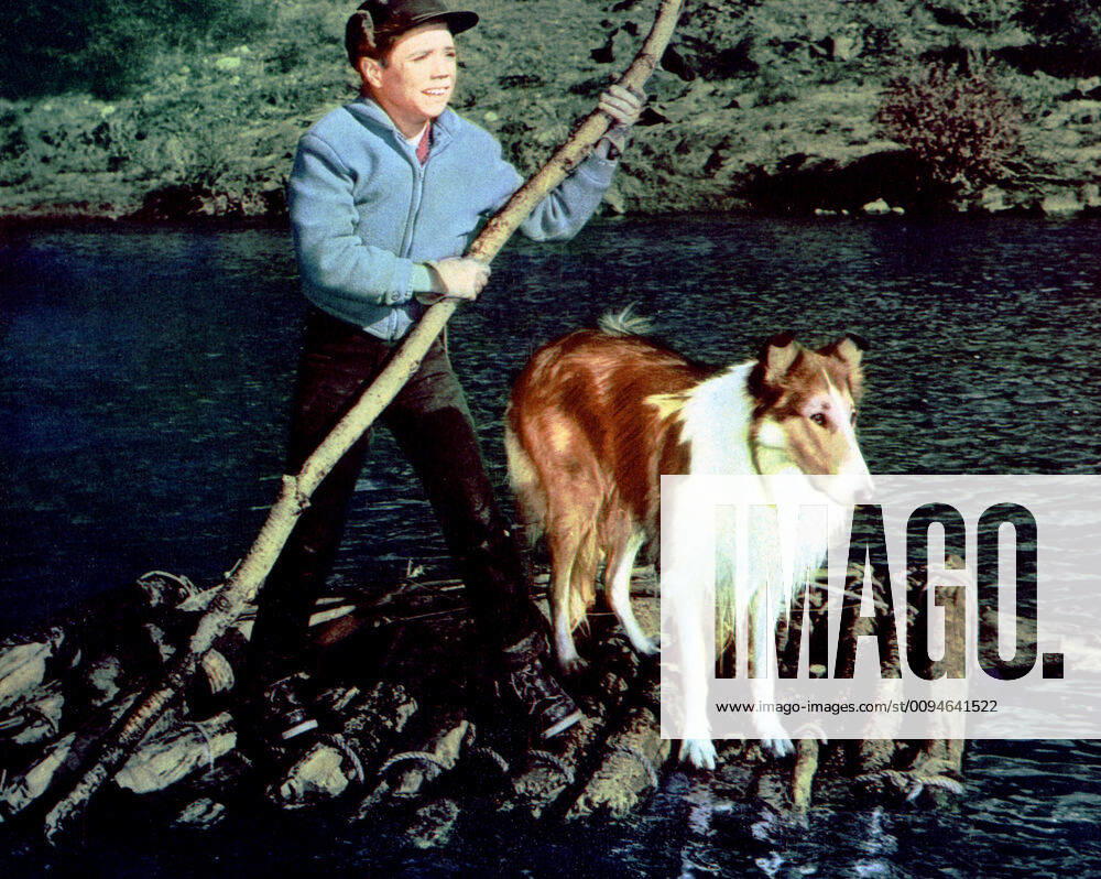 Jon Provost & Lassie Film: Lassie S Greatest Adventure (1963) Director: William Beaudine 25 December 1965