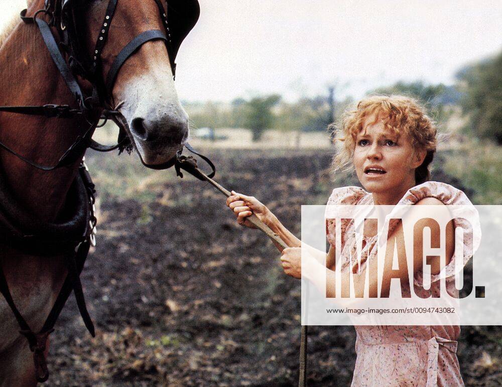 OSCARS. Beste Hauptdarstellerin. Preisträgerinnen 1981-1990 Sally Field Characters: Edna Spalding Film: Places In The Heart (USA 1984) Director: Robert Benton 11 September 1984