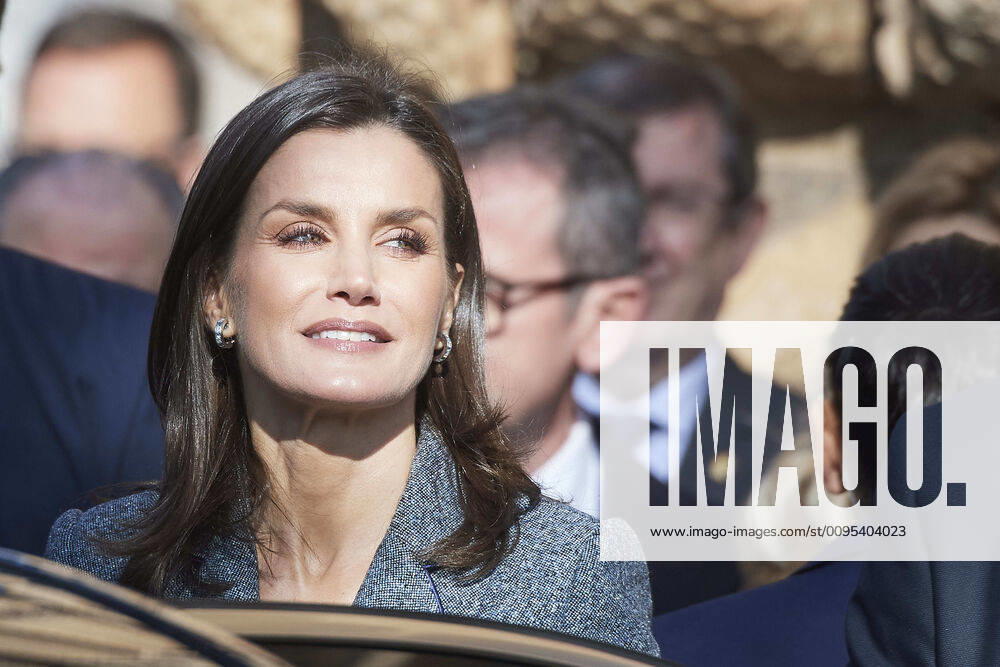 Queen Letizia of Spain attends the opening of Exhibition Zirid Granada and the Berber universe at Carlos V Palace, La Alhambra on December 5, 2019 in Madrid, Spain Madrid Spain - ZUMAg15_ 20191205_zaf_g15_089