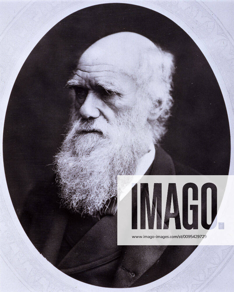 Darwin - Portrait Portrait en medaillon de Charles DARWIN (1809-1882). Photographie anonyme vers 1880. Credit: Collection CL KHARBINE-TAPABOR.