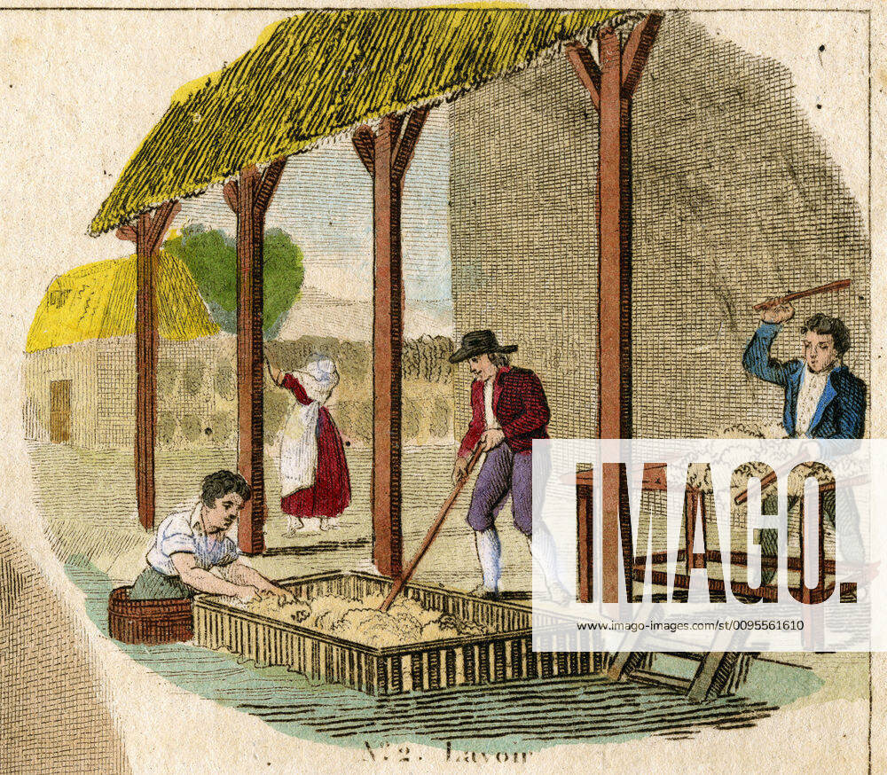 LAINE La laine au lavoir. Lithographie anonyme de 1825 tiree de La Galerie industrielle ou application des produits de la nature aux Arts et Metiers. Serie de metiers, d artisan au debut du 19e siecle en France. Credit : Collection IM KHARBINE-TAPABOR.