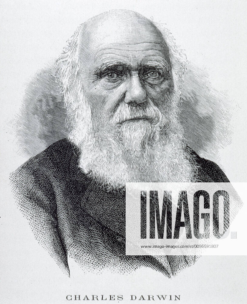 DARWIN Portrait de Charles DARWIN (1809-1882)). Ilustration anonyme de 1891 pour la Galeries des naturalistes par J. PIZETTA . Credit : Coll. BHVP-Grob KHARBINE-TAPABOR.