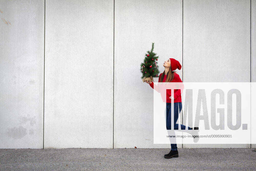 Woman wearing red pullover and wolly hat, holding artificial Christmas tree in front of a wall model released Symbolfoto HMEF00685