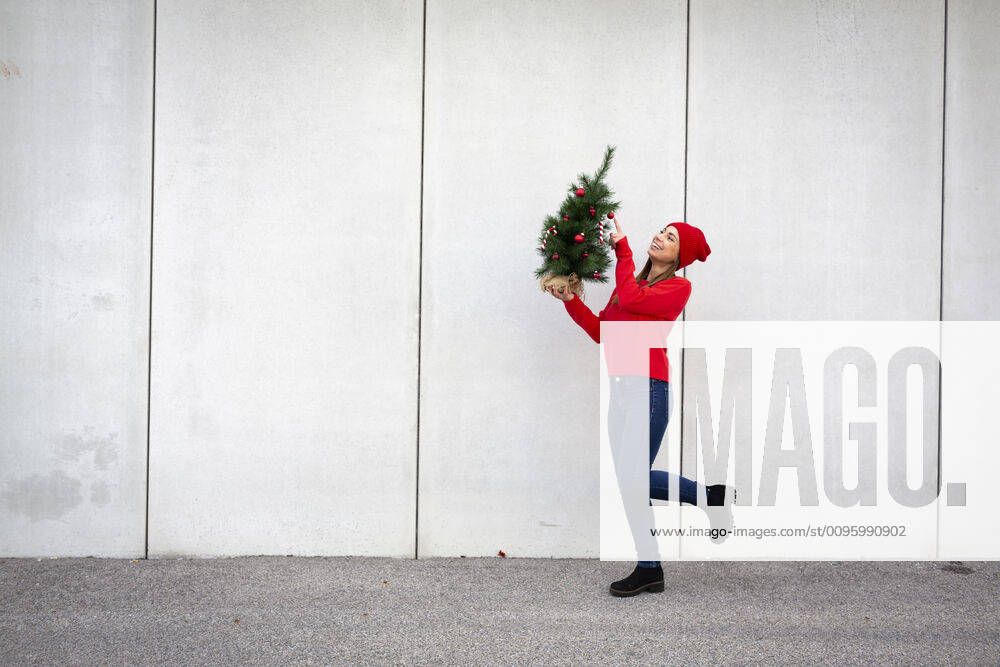 Woman wearing red pullover and wolly hat, holding artificial Christmas tree in front of a wall model released Symbolfoto HMEF00686