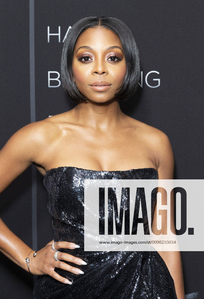 Netflix A Fall From Grace NYC premiere Bresha Webb wearing dress by Mary Katrantzou attends premiere of Netflix A Fall From Grace at Metrograph New York New York United States Metrograph PhotographerxLevxRadin