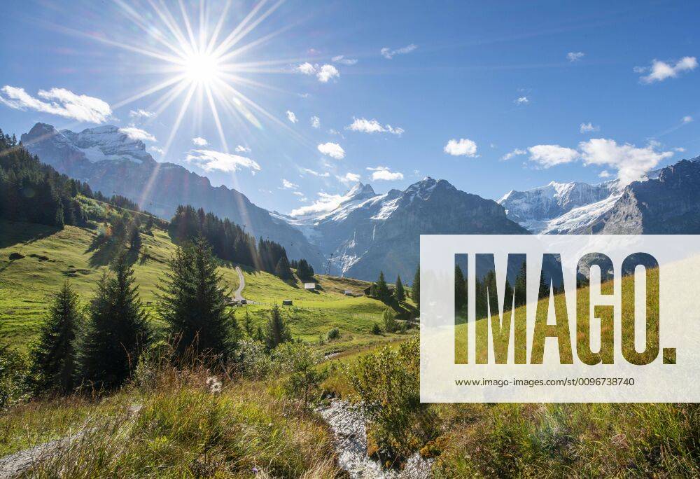 Berglandschaft bei strahlendem Sonnenschein, hinten schneebedeckte Berggipfel Schreckhorn, Wetterhorn und Eiger, Grindelwald, Bern, Schweiz, Europa