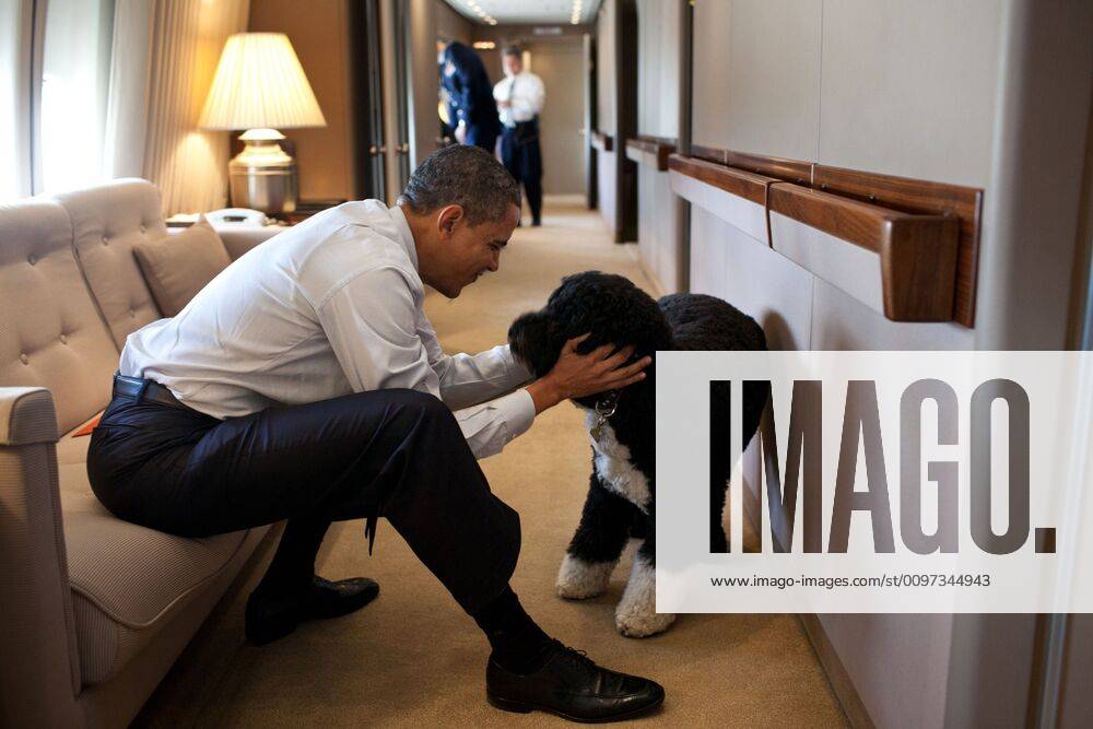 President Barack Obama plays with Bo, aboard Air Force One during a flight to Hawaii. Dec. 23, 2011. (BSLOC_2015_3_43) For usage credit please use; The White House PUBLICATIONXNOTxINxCANxCHNxFRAxITAxJPNxNORxPOLxRUSxESPxUKxUSA