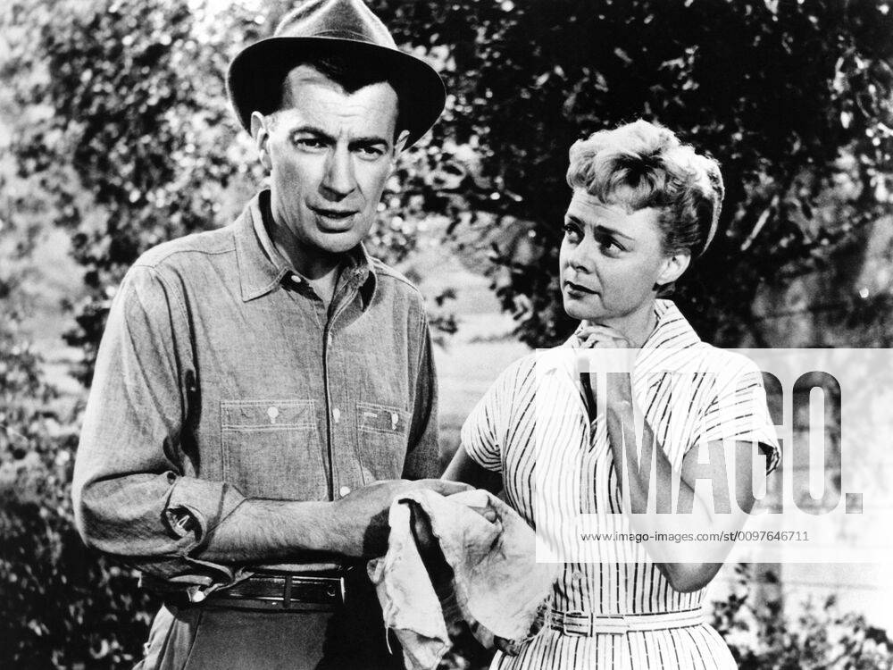 LASSIE S GREAT ADVENTURE, from left: Hugh Reilly, June Lockhart, 1963 ©20thCentFox Courtesy Everett Collection PUBLICATIONXNOTxINxCANxCHNxFRAxITAxJPNxNORxPOLxRUSxESPxUKxUSA