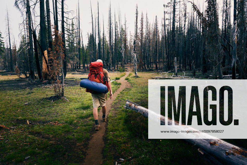 IMAGO Creative: Ende des Sommers Man Backpacking Through Burnt Forest Bend, OR, United States ,model released, Symbolfoto CR_ADMC200121-297090-01