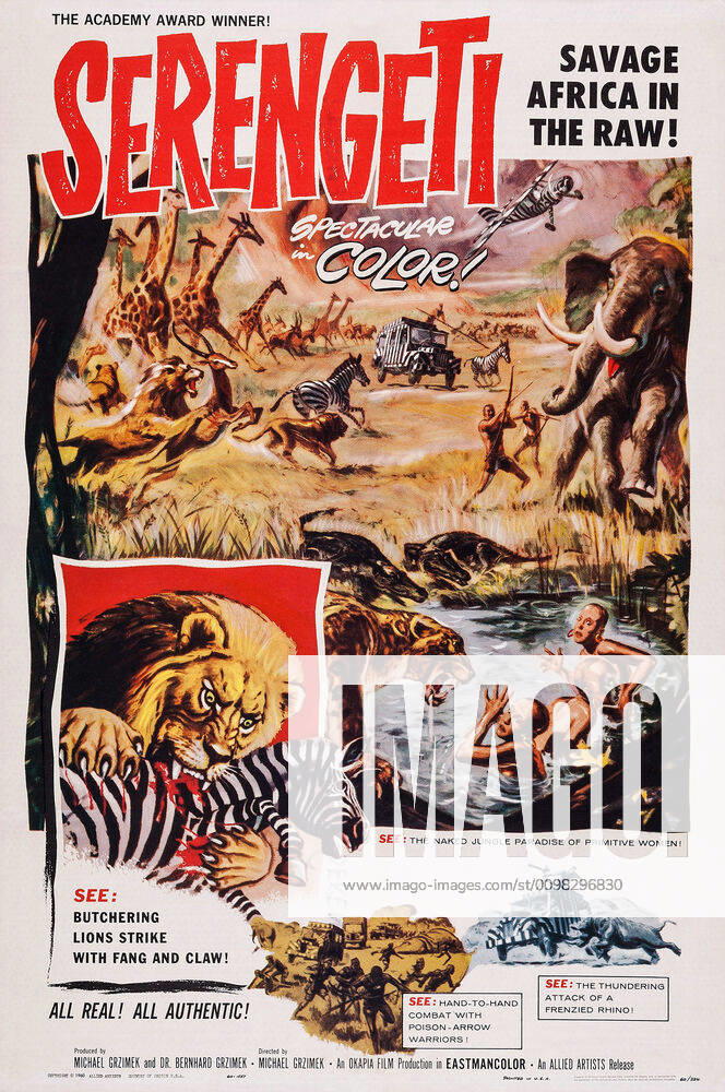SERENGETI, US poster art, 1959 Courtesy Everett Collection !ACHTUNG AUFNAHMEDATUM GESCHÄTZT! PUBLICATIONXNOTxINxCANxCHNxFRAxITAxJPNxNORxPOLxRUSxESPxUKxUSA