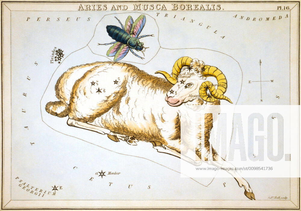 Uranias Mirror Aries and Musca Borealis, Widder und Nördliche Fliege, Himmelskarte aus der Serie Uranias Mirror, A View of the Heavens, Gravur von Sidney Hall, Erstveröffentlichung 1824