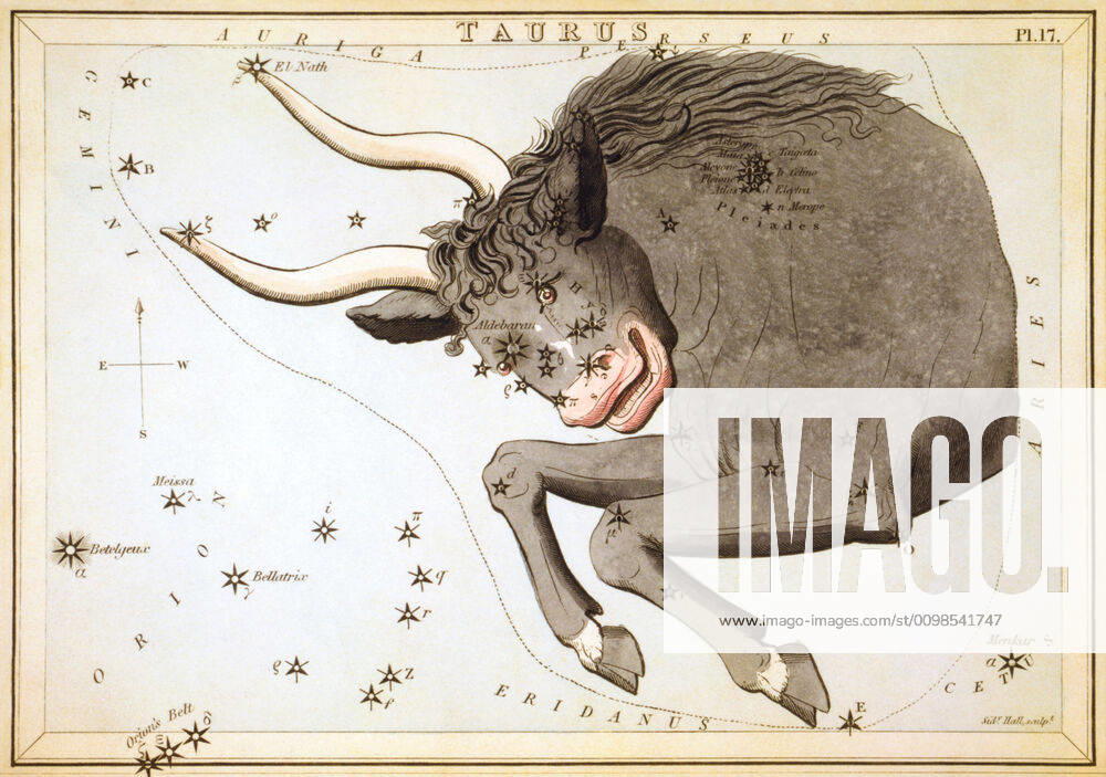 Uranias Mirror Taurus, Stier, Himmelskarte aus der Serie Uranias Mirror, A View of the Heavens, Gravur von Sidney Hall, Erstveröffentlichung 1824