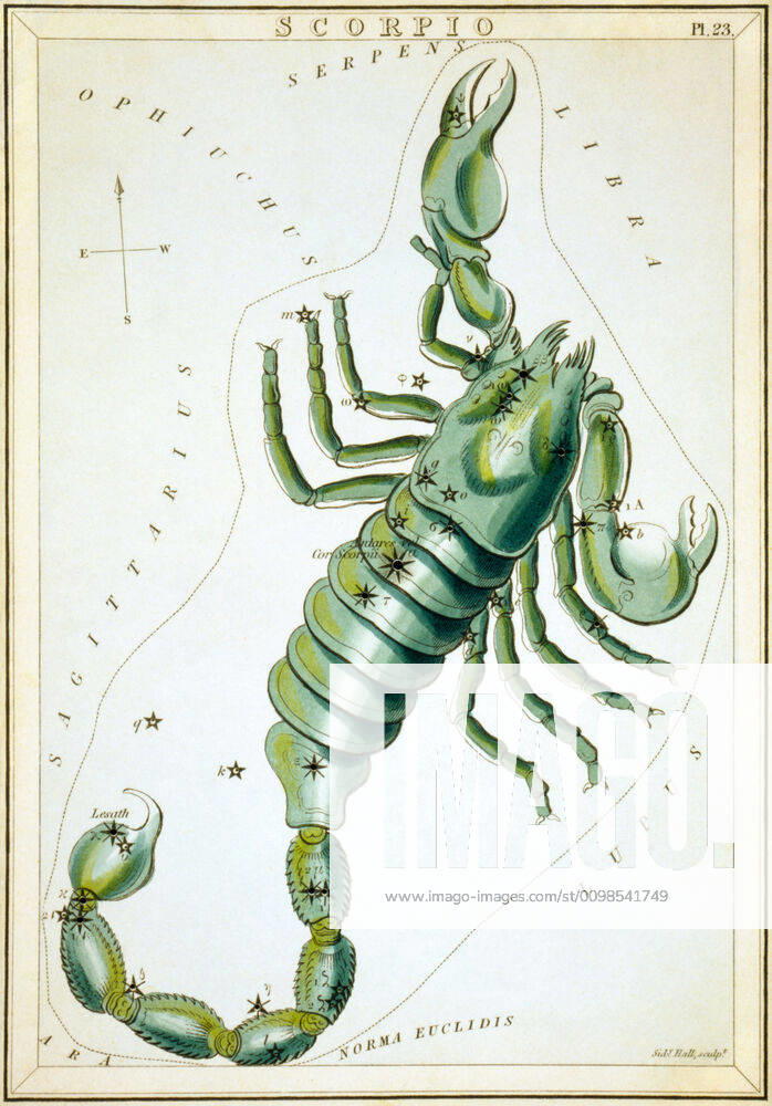 Uranias Mirror Scorpio, Skorpion, Himmelskarte aus der Serie Uranias Mirror, A View of the Heavens, Gravur von Sidney Hall, Erstveröffentlichung 1824