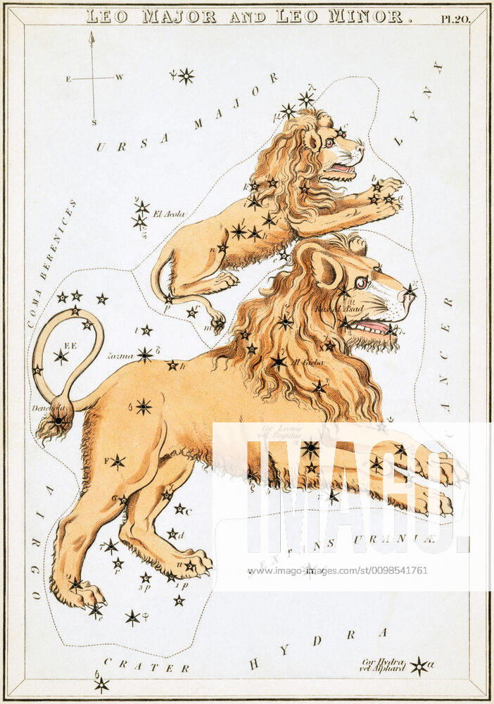 Uranias Mirror Leo Major and Leo Minor, Großer Löwe und kleiner Löwe, Himmelskarte aus der Serie Uranias Mirror, a view of the heavens, Gravur von Sidney Hall, Erstveröffentlichung 1824
