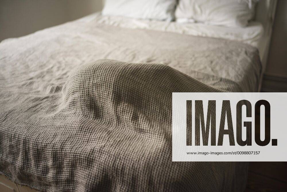 Cat sleeping under blanket on bed Germany Hamburg Hamburg