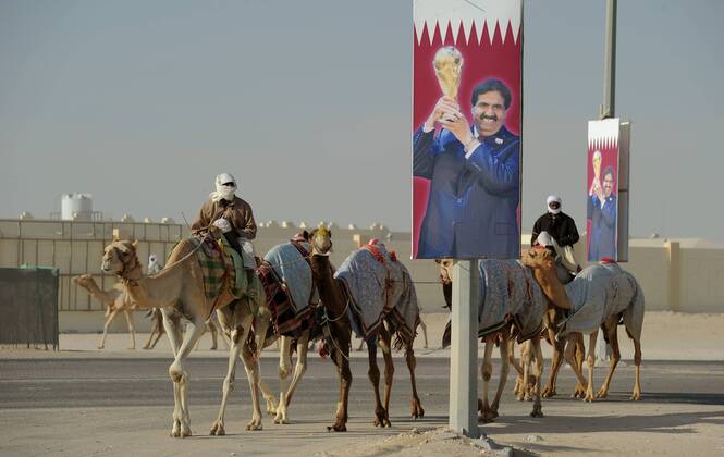 Kamelrennen Doha 12.01.2011 - Kameltreiber mit ihren Dromedaren kommen auf dem Weg zur Rennbahn an einem Plakaten mit dem Emir von Katar, HH Sheikh Hamad bin Khalifa Al-Thani mit WM Pokal bei Doha vorbei. 