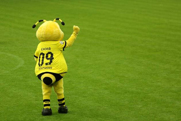 Die Fussballer von Borussia Dortmund werden von den Fans im Signal Iduna Park in Dortmund empfangen. Der BVB hatte am Vortag das Finale der Champions League mit 1:2 gegen Bayern München verloren. BVB Maskottchen Emma traurig im Stadion Empfang von Borussia Dortmund