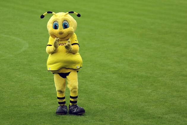 Die Fussballer von Borussia Dortmund werden von den Fans im Signal Iduna Park in Dortmund empfangen. Der BVB hatte am Vortag das Finale der Champions League mit 1:2 gegen Bayern München verloren. BVB Maskottchen Emma traurig im Stadion Empfang von Borussia Dortmund