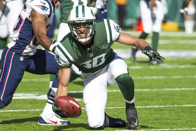 October 20, 2013: New York Jets wide receiver David Nelson (86) looks on after making the catch during the NFL American Football Herren USA game between the New England Patriots and the New York Jets at MetLife Stadium in East Rutherford, New Jersey. The Jets win 30-27 in overtime. (Christopher Szagola Cal Media) NFL American Football Herren USA 2013: Patriots vs Jets OCT 20 - ZUMAcs7