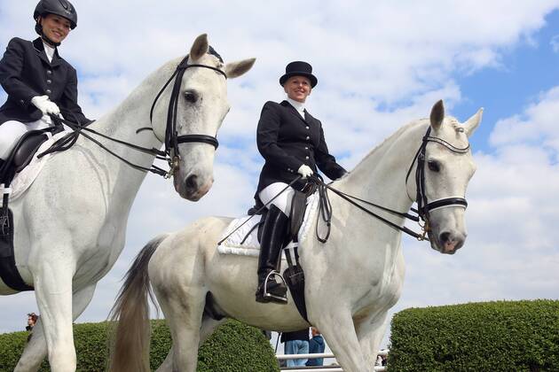 17.05.2015, Hannover, Niedersachsen, GER - Dressurreiterinnen. Galopprennbahn Hannover, Neue Bult. (Pferde, Reiterin, Dressur, Dressurreiterin, Schimmel, Begleitpferde) 546D170515HANNOVER