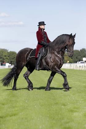 18.09.2016, Hannover, Niedersachsen, GER - Dressurreiterin in historischer Kleidung auf einem Friesen. Galopprennbahn Hannover, Neue Bult. (Pferd, Dressur, Barock, Reiterin, Warmblueter, Warmblut, Dressurreiterin, Kostuem, kostuemiert, Uniform, Uniformen, historisch, Klassik, klassisch, Barockreiterin, Barockreiten, Rappe, Friese, Trab, traben) 326D180916HANNOVER