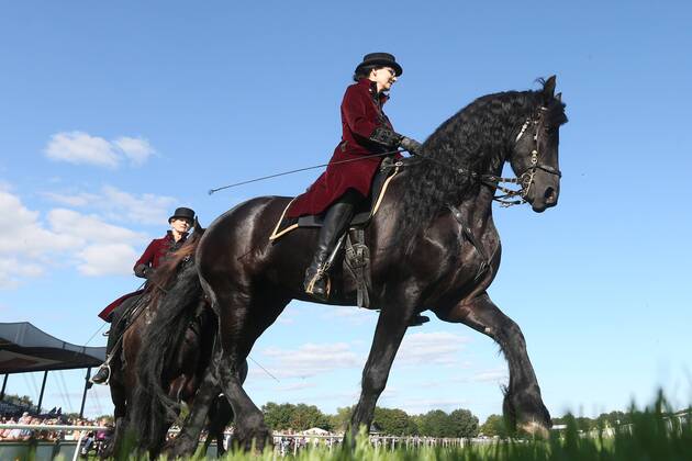 18.09.2016, Hannover, Niedersachsen, GER - Dressurreiterin in historischer Kleidung auf einem Friesen. Galopprennbahn Hannover, Neue Bult. (Pferde, Dressur, Barock, Reiterin, Warmblueter, Warmblut, Dressurreiterin, Kostuem, kostuemiert, Uniform, Uniformen, historisch, Klassik, klassisch, Barockreiterin, Barockreiten, Rappe, Friese, Froschperspektive, Trab, traben) 331D180916HANNOVER