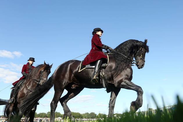 18.09.2016, Hannover, Niedersachsen, GER - Dressurreiterin in historischer Kleidung auf einem Friesen. Galopprennbahn Hannover, Neue Bult. (Pferde, Dressur, Barock, Reiterin, Warmblueter, Warmblut, Dressurreiterin, Kostuem, kostuemiert, Uniform, Uniformen, historisch, Klassik, klassisch, Barockreiterin, Barockreiten, Rappe, Friesen, Froschperspektive, Trab, traben) 332D180916HANNOVER