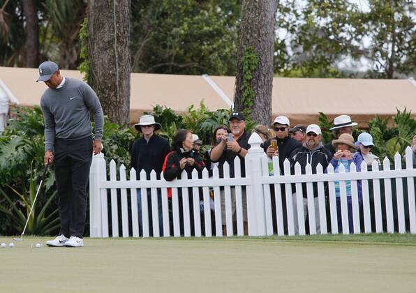 March 8, 2018 - Palm Harbor, Florida, U.S. - Tiger Woods is on the practice green at the Valspar Championship 3 8 2018. He tees off for the first round at 12:46. Florida News - March 8, 2018 - ZUMAs70_ 82202896st Copyright: xJimxDamaskex