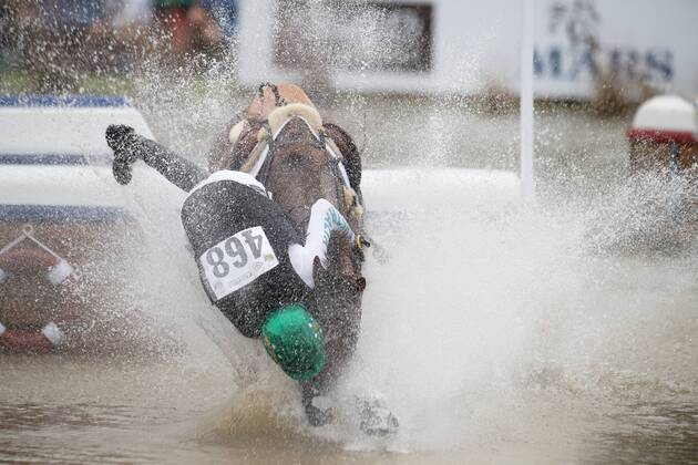 Sport Themen der Woche KW37 Sport Bilder des Tages 180915 Australias William Levett competes in eventing cross-country during the FEI World Equestrian Games on September 15, 2018 in Tryon. Photo: Joel Marklund BILDBYRAN kod JM 87779 Copyright: JOELxMARKLUND BB180915JM022