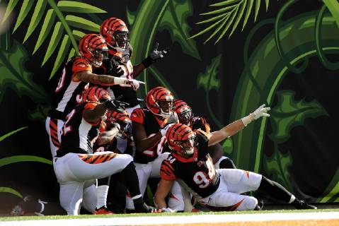 Sport Themen der Woche KW43 Sport Bilder des Tages CINCINNATI, OH - OCTOBER 28: The Cincinnati Bengals celebrate after scoring a touchdown during the NFL American Football Herren USA football game between the Tampa Bay Buccaneers and the Cincinnati Bengals on October 28, 2018, at Paul Brown Stadium in Cincinnati, Ohio. (Photo by Michael Allio Icon Sportswire) NFL: OCT 28 Buccaneers at Bengals Icon116181028030 EDITORIAL USE ONLY
